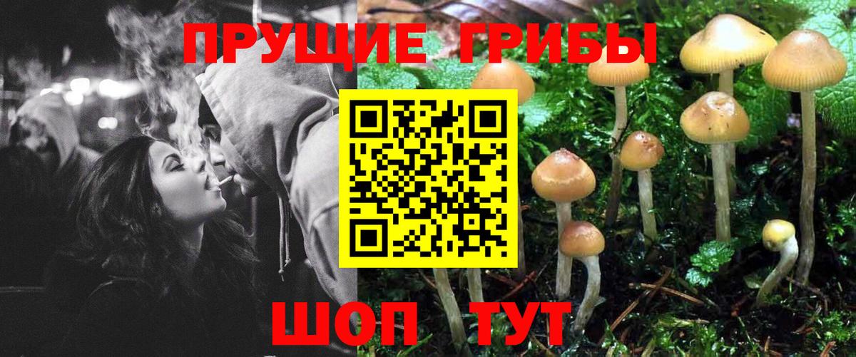 что такое наркотик  Псилоцибиновые грибы MAGIC MUSHROOMS  Губаха  Вход с VPN  Галлюциногенные грибы прущие грибы 