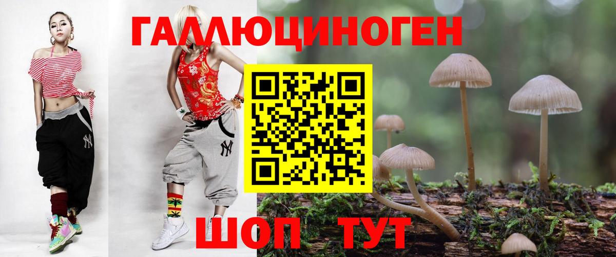 Галлюциногенные грибы мухоморы Губаха